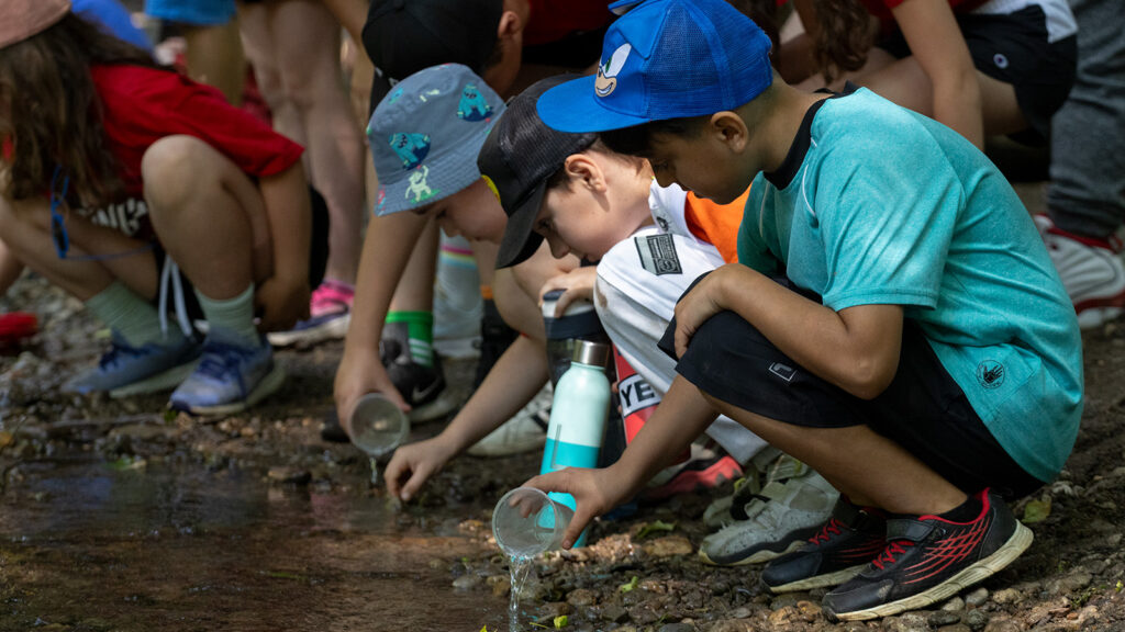 Students releasing Atlantic salmon fry