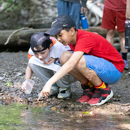 Students releasing Atlantic salmon fry