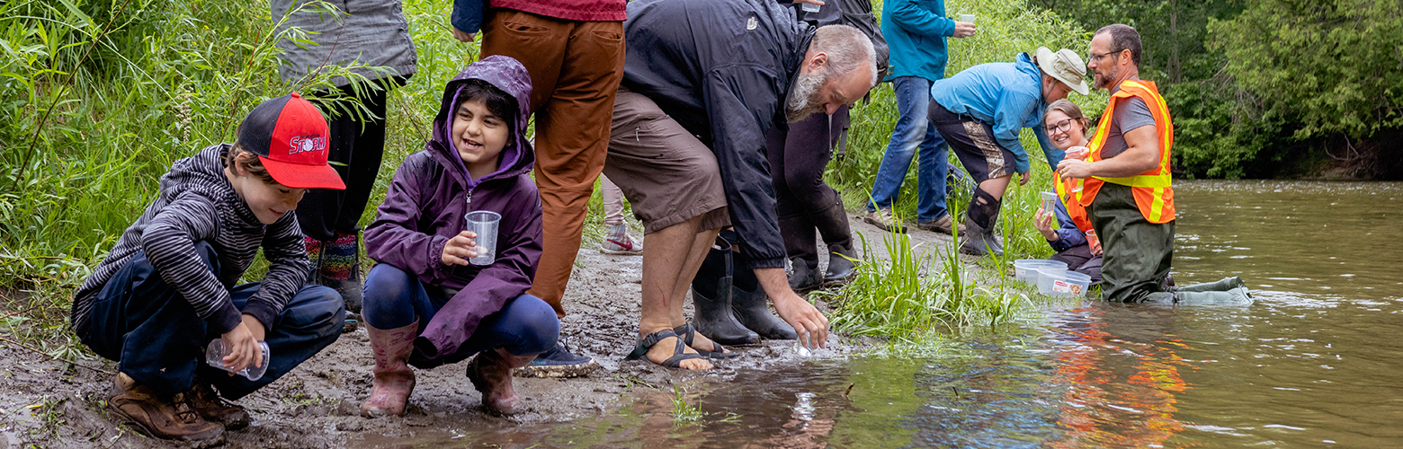 Atlantic Salmon release with a class