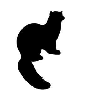 Silhouette of a marten
