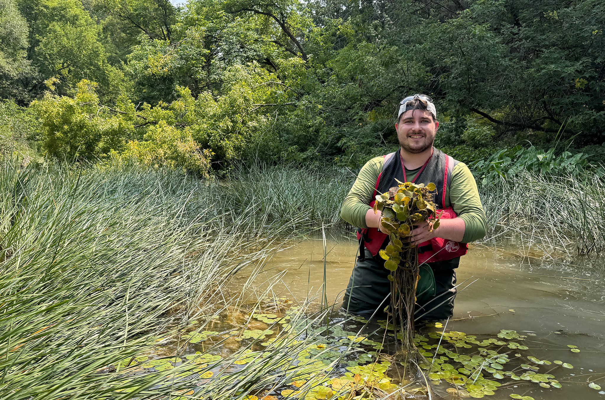 ISAP Employment Opportunities | OFAH Foundation