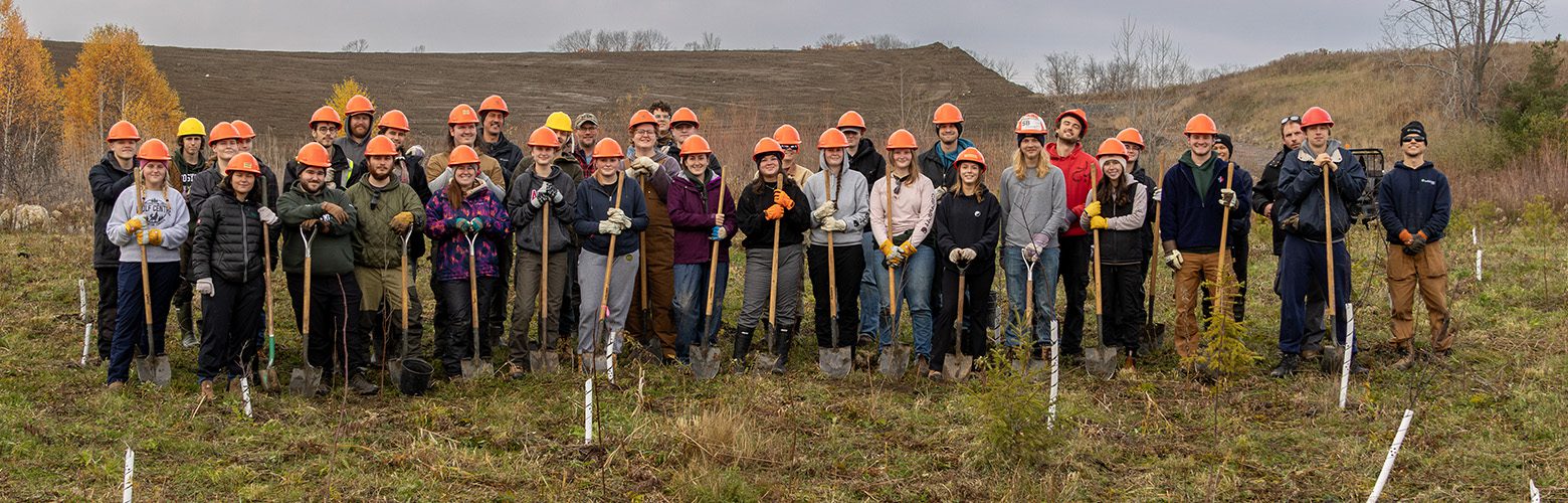 Tree planting volunteers