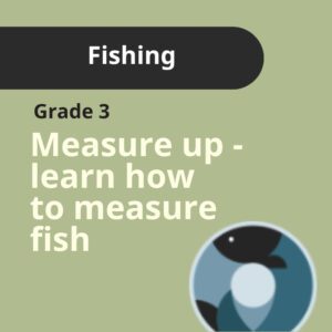 Grade 3: Measure Up - Learn how to measure fish