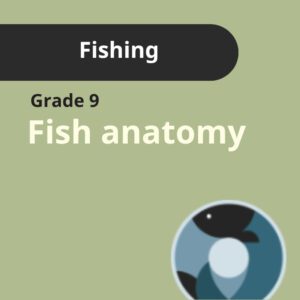Grade 9 | Fishing - Fish Anatomy