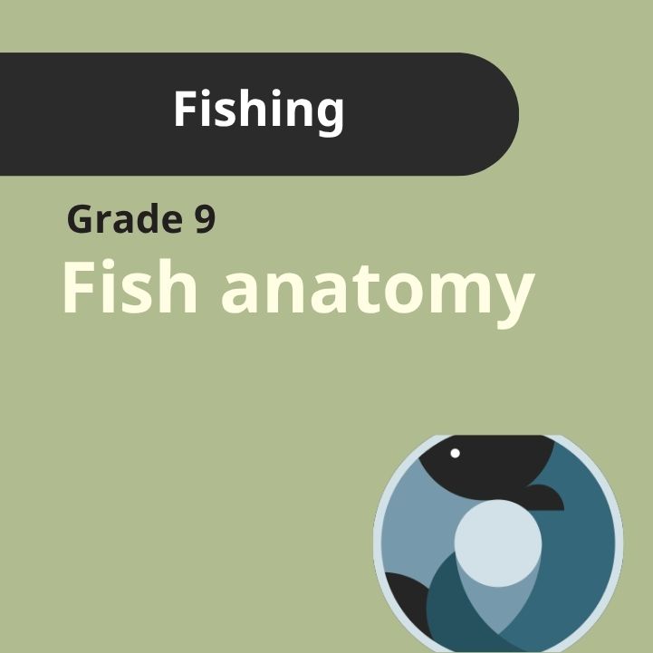Grade 9 | Fishing - Fish Anatomy