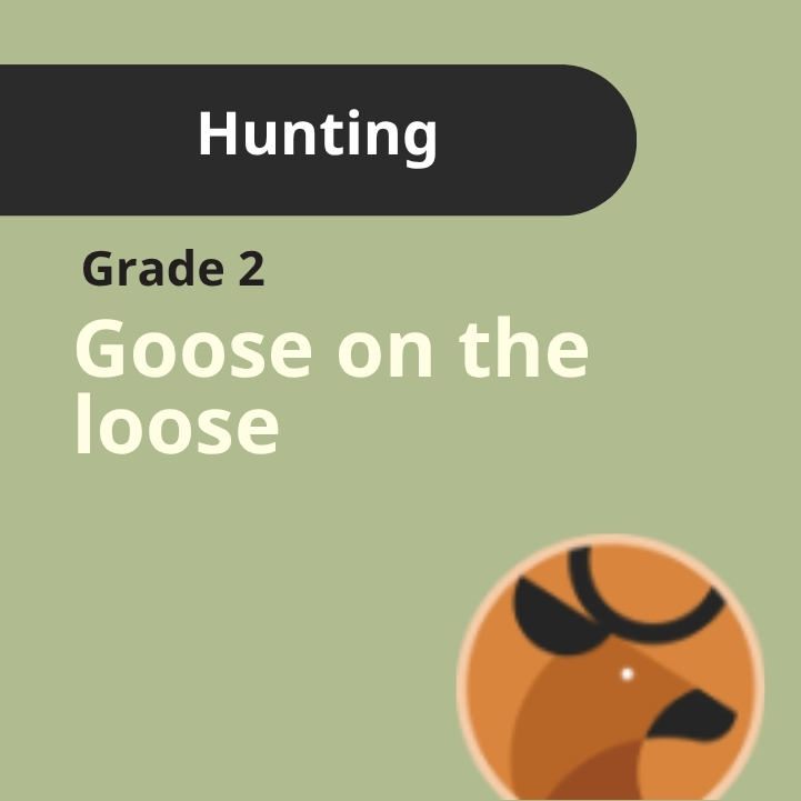 Grade 2: Goose on the Loose