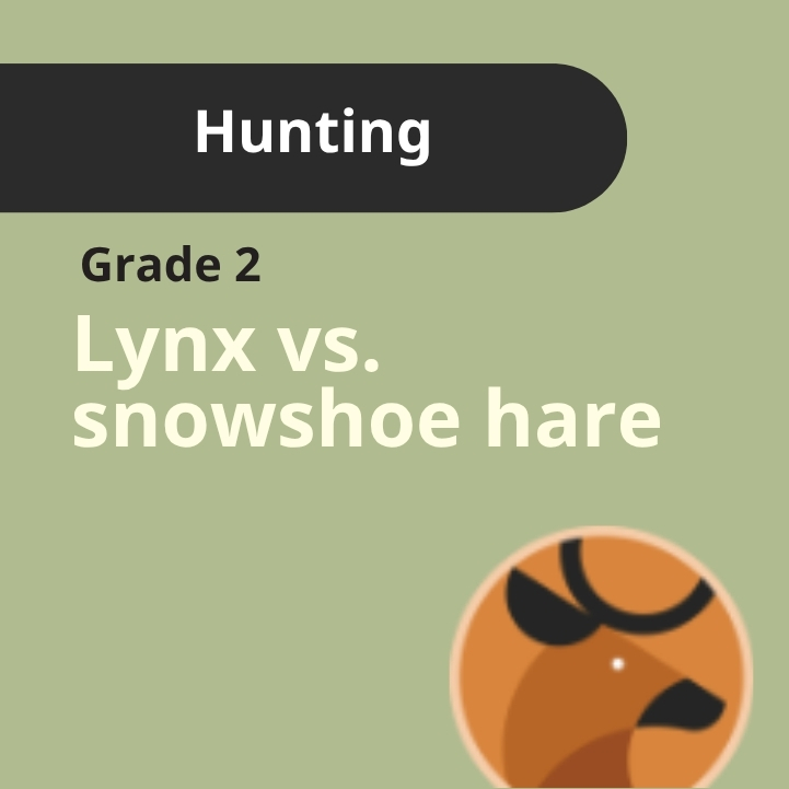 Grade 2: Lynx vs. Snowshoe Hare