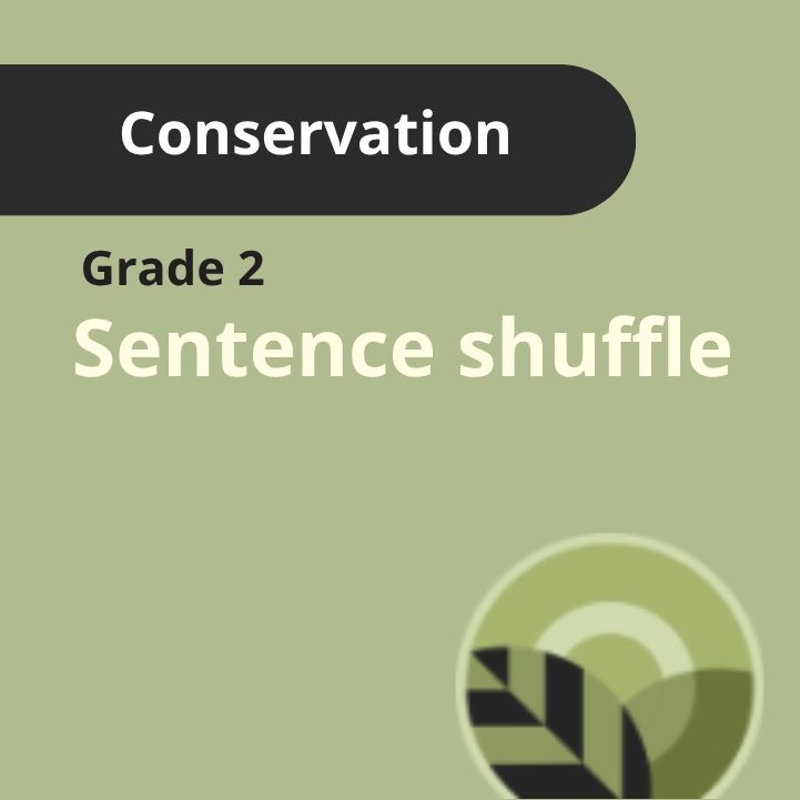 Grade 2: Sentence Shuffle
