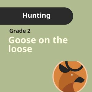 Grade 2 | Hunting - Goose on the Loose