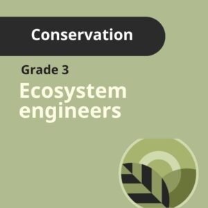 Grade 3 | Conservation - Ecosystem Engineers